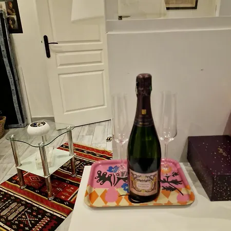 Apartamento De Charme Champs Elysees *